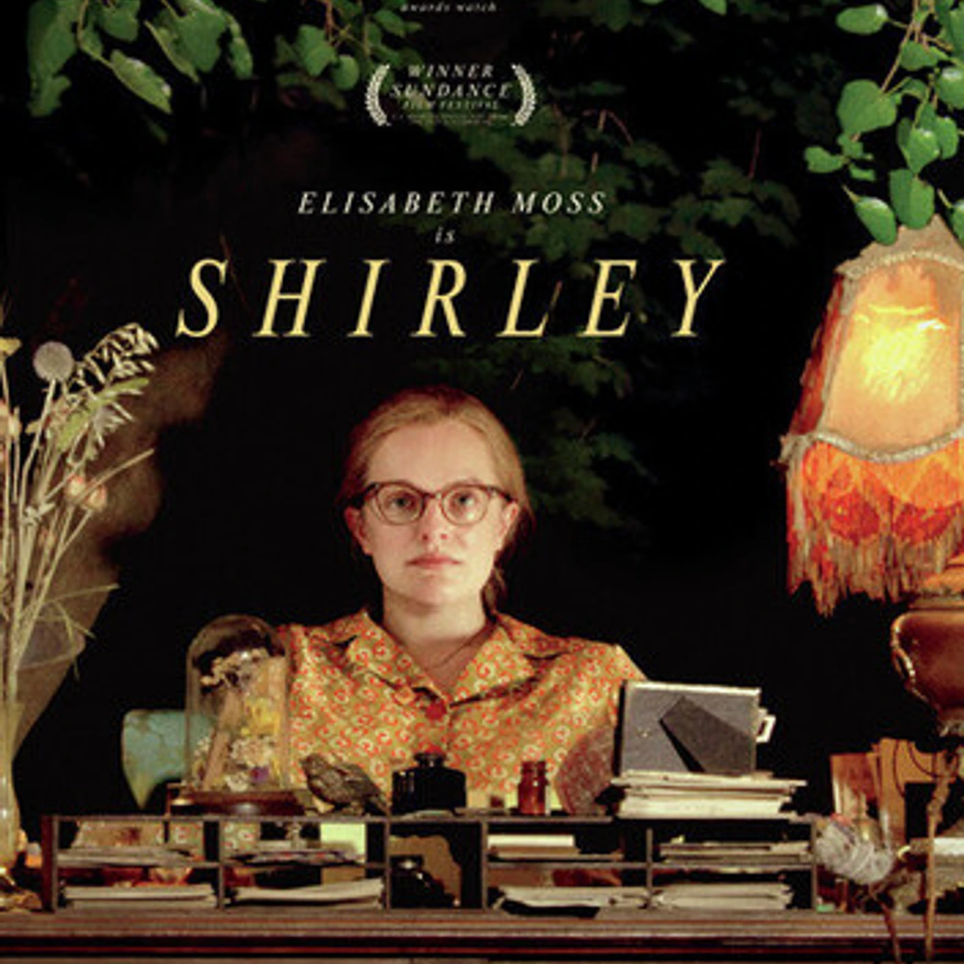 Shirley DVD