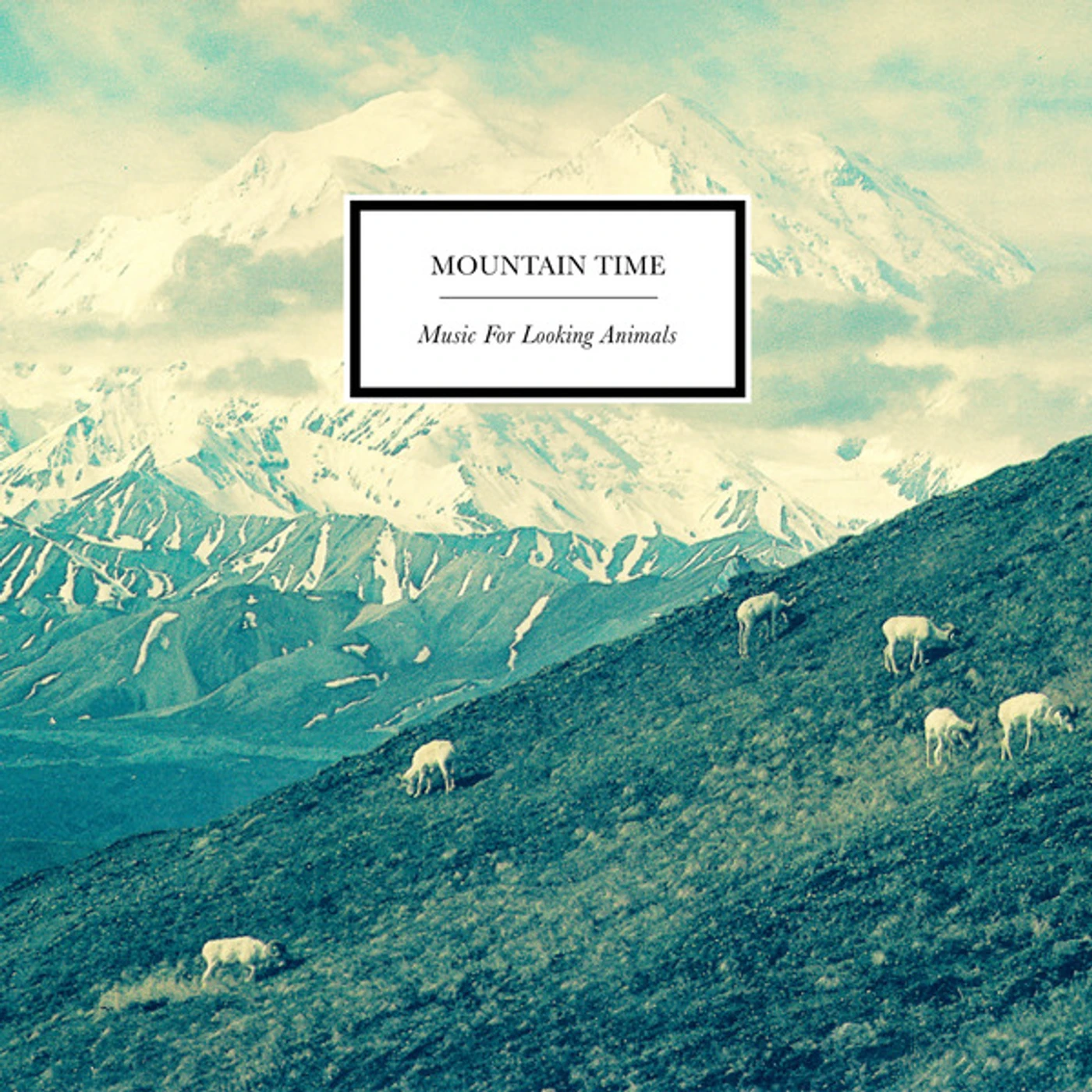 Mountain Time Music for Looking Animals Vinyl Record