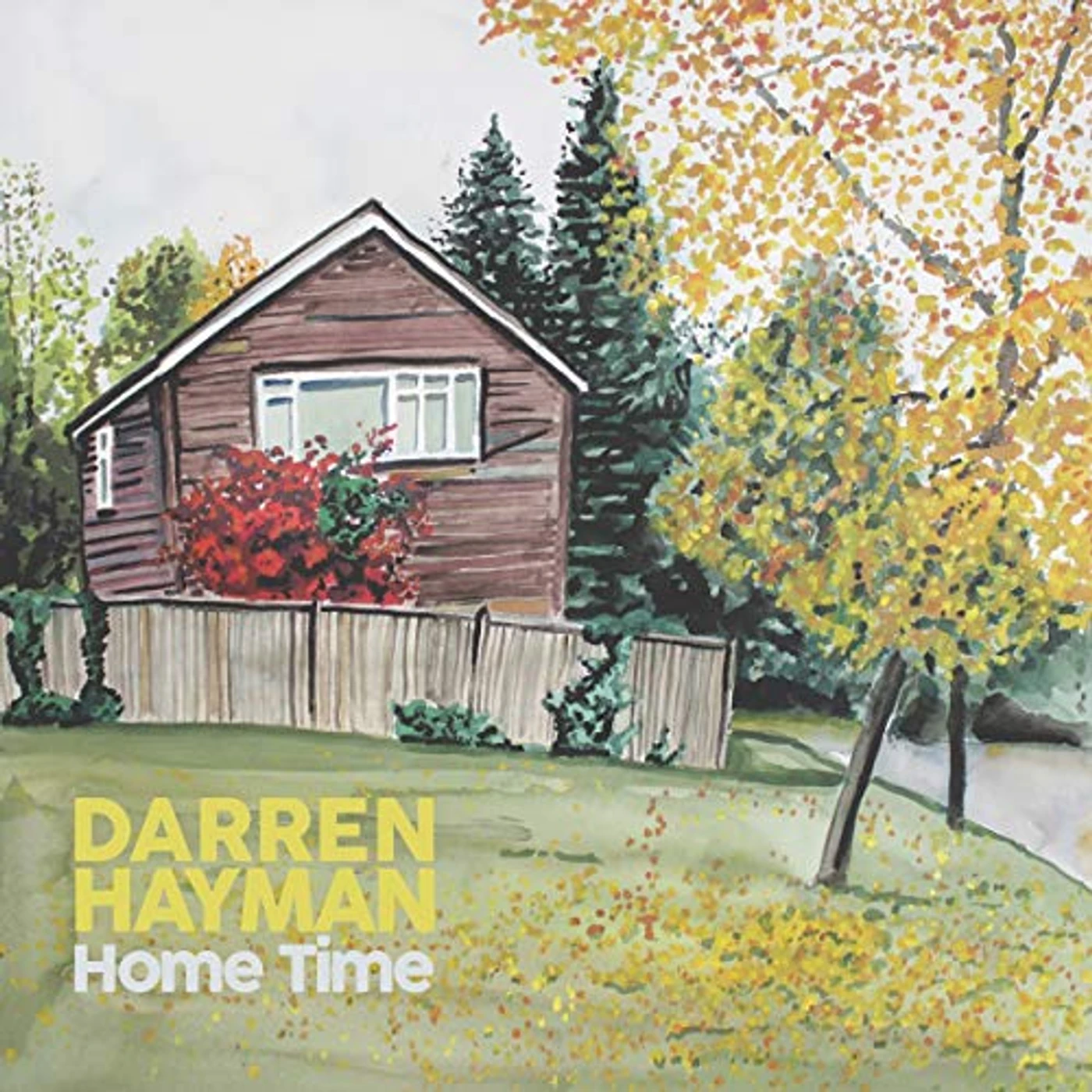 Darren Hayman Home Time Vinyl Record