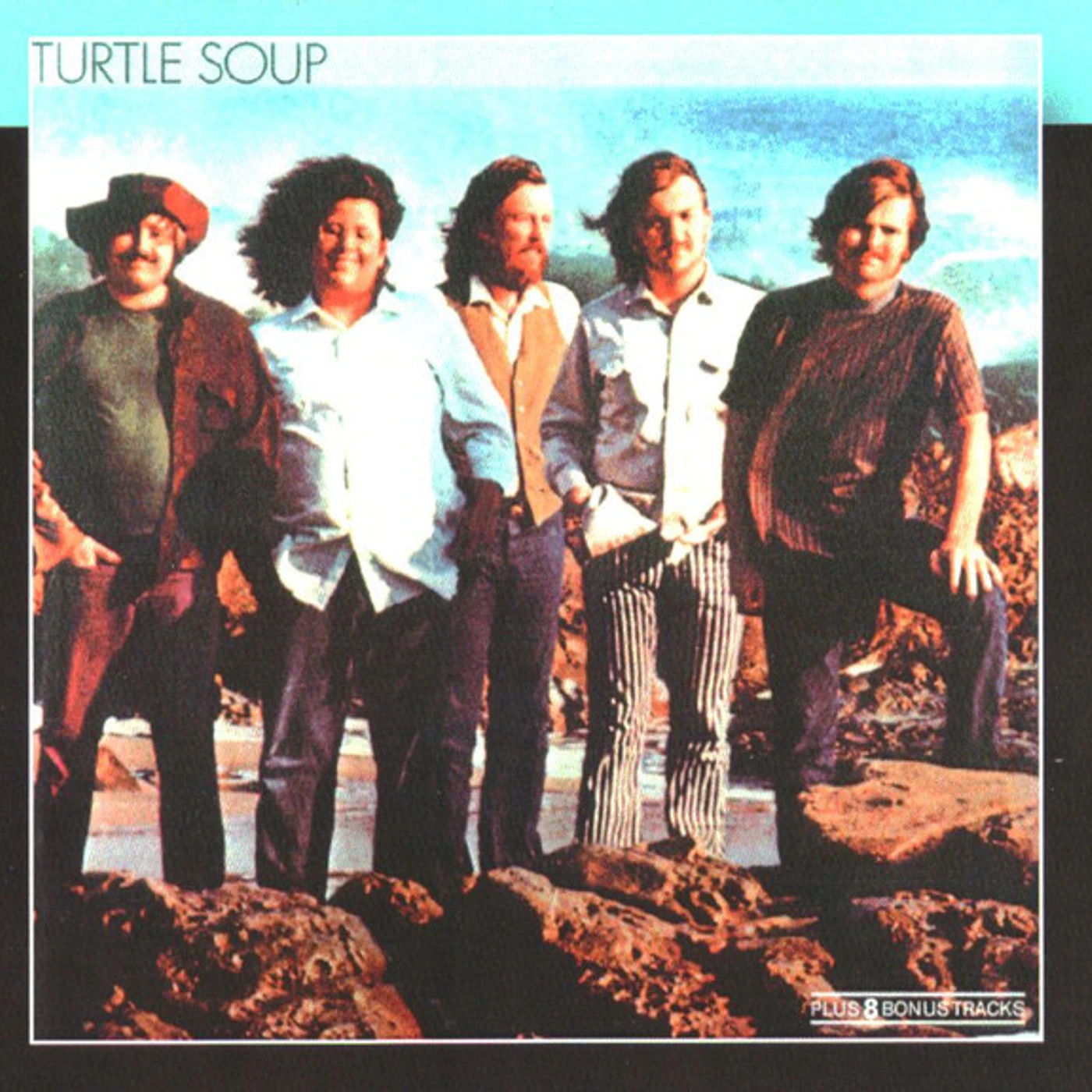 The Turtles 66 Vinyl Record