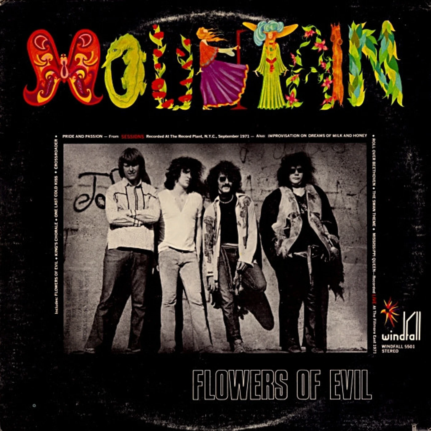 Mountain Flowers Of Evil Vinyl Record