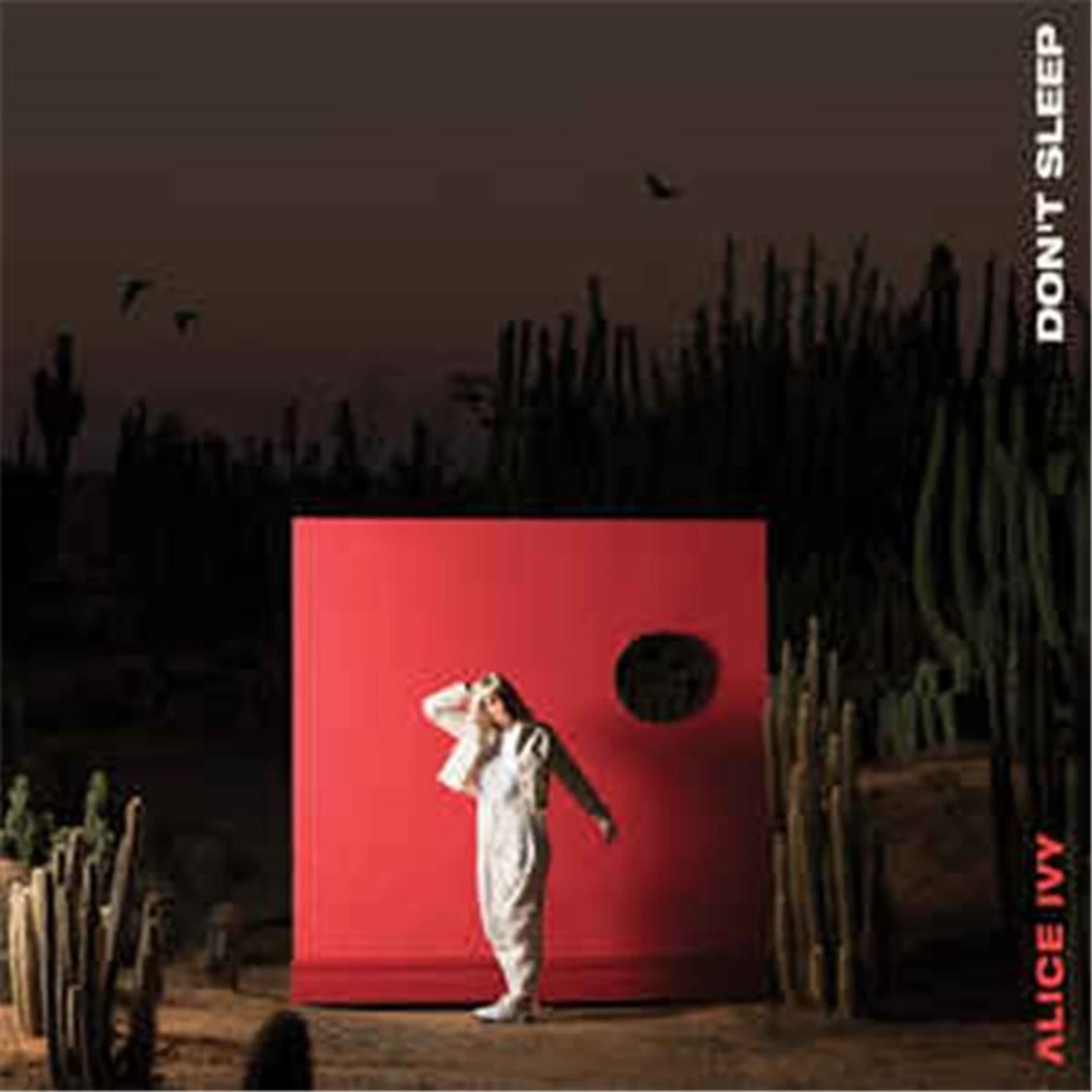 Alice Ivy Don't Sleep Vinyl Record