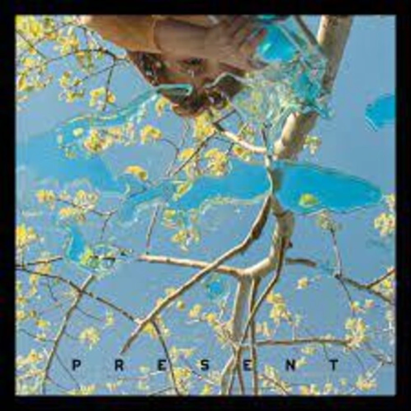 Dog Day PRESENT CD