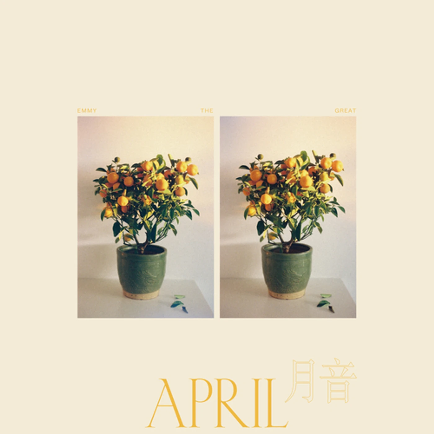 Emmy The Great APRIL Vinyl Record