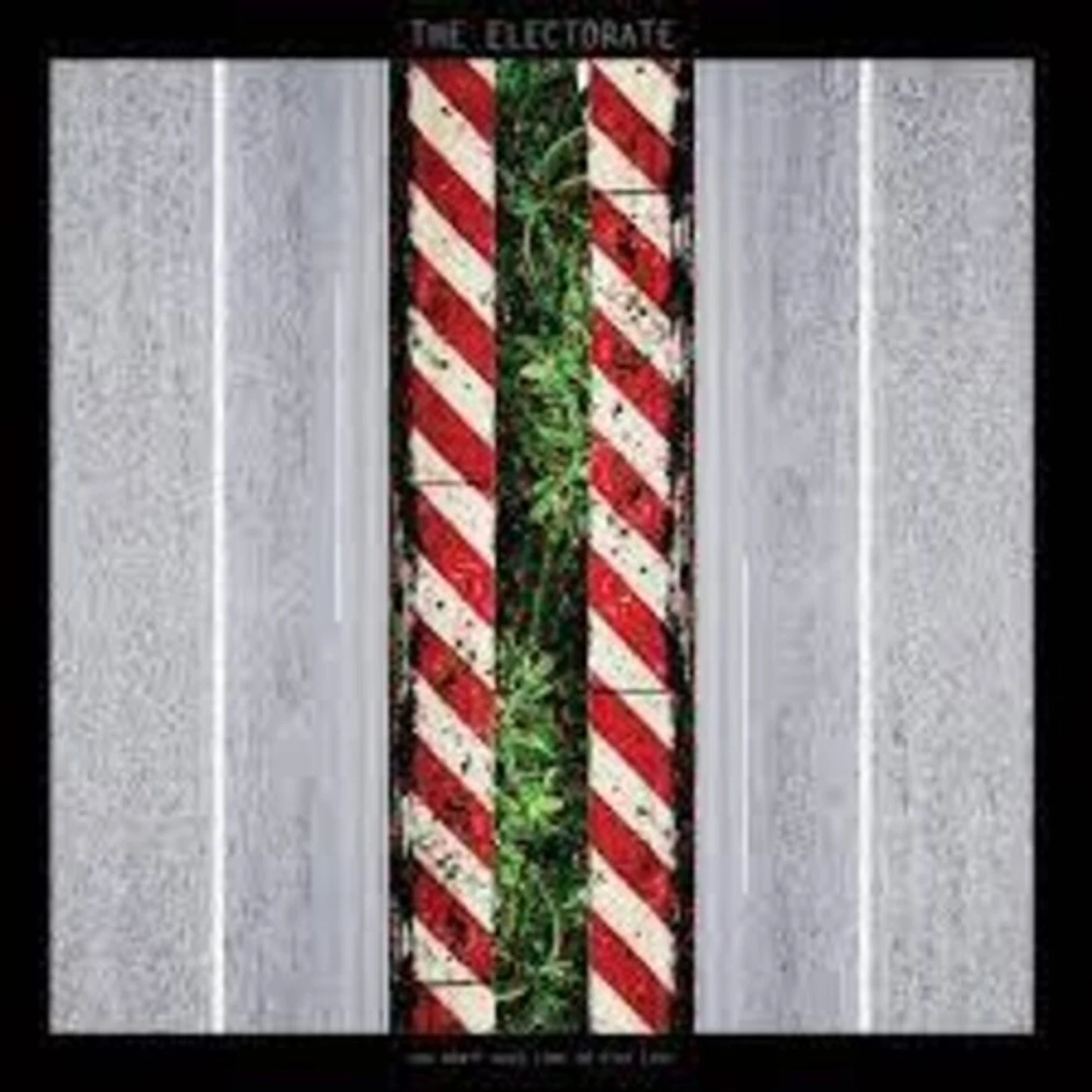 The Electorate YOU DON'T HAVE TIME TO STAY LOST CD