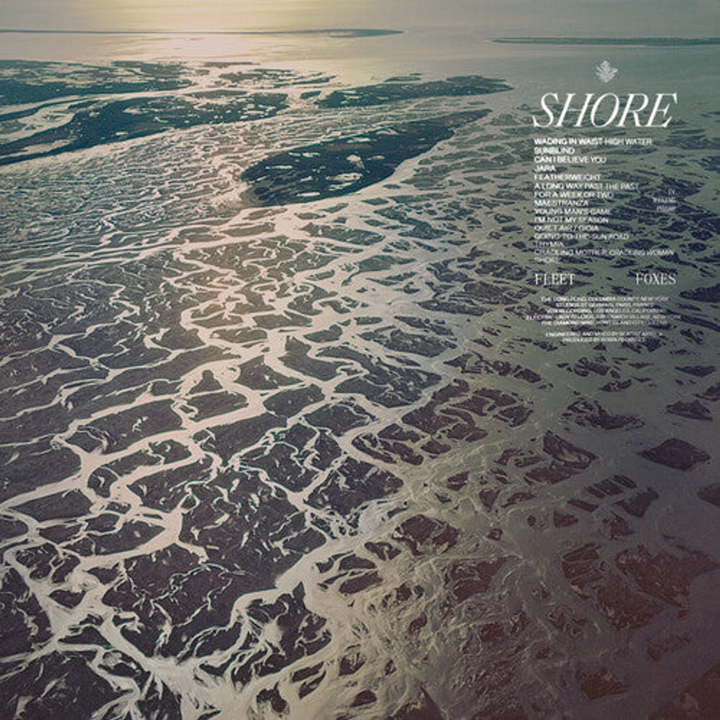 Fleet Foxes SHORE (OCEAN BLUE SWIRL VINYL) Vinyl Record