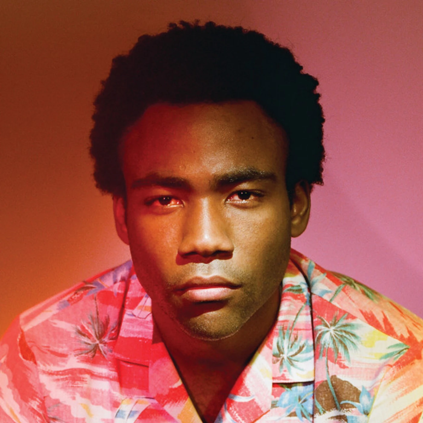 Childish Gambino Because The Internet (2LP/180g/Black) Vinyl Record