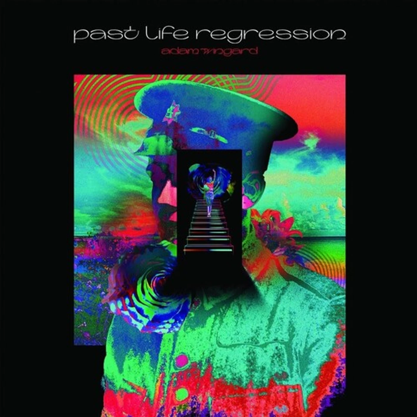 Adam Wingard PAST LIFE REGRESSION Vinyl Record