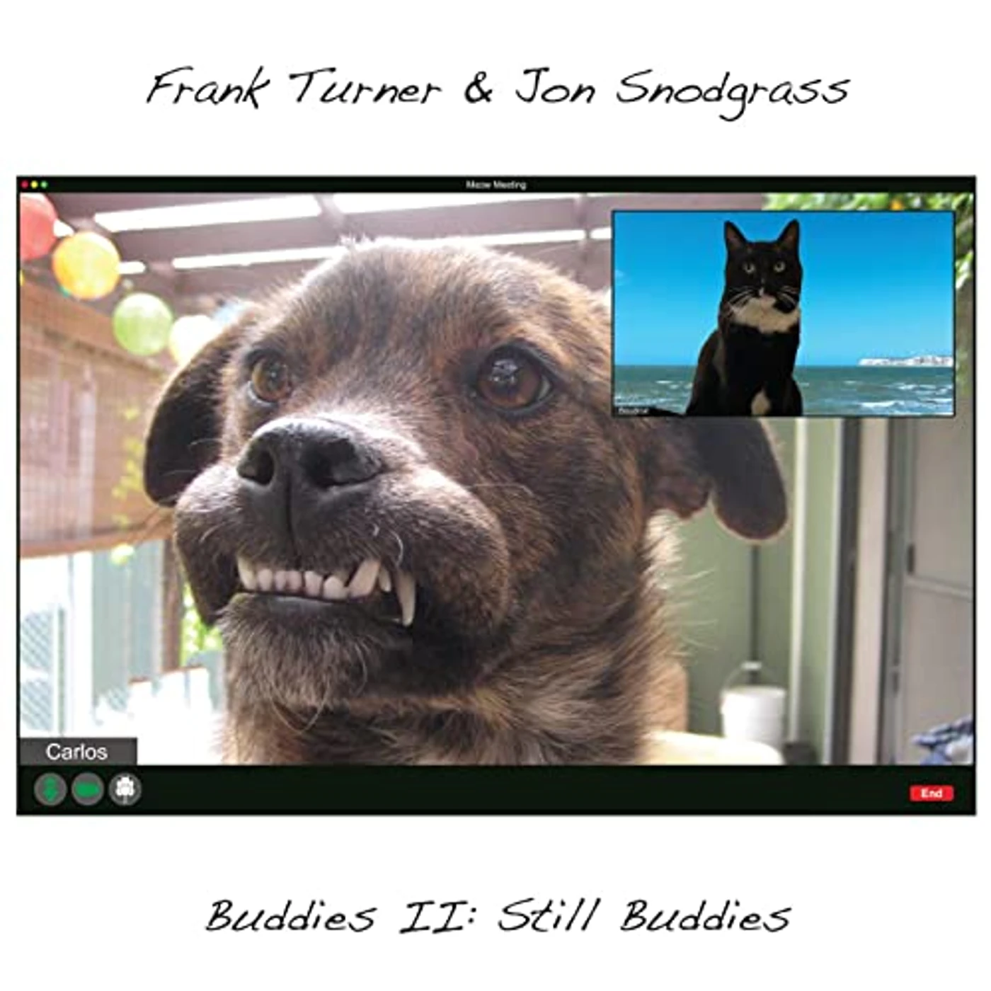 Frank Turner & Jon Snodgrass BUDDIES II: STILL BUDDIES Vinyl Record