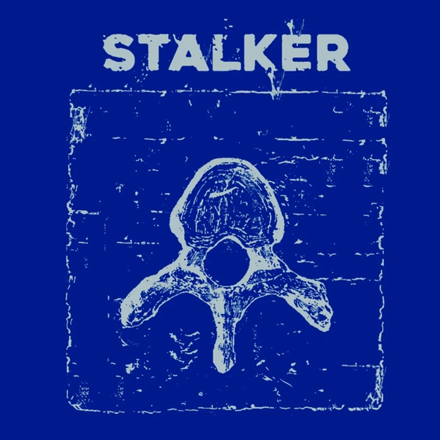 Stalker VERTEBRE Vinyl Record