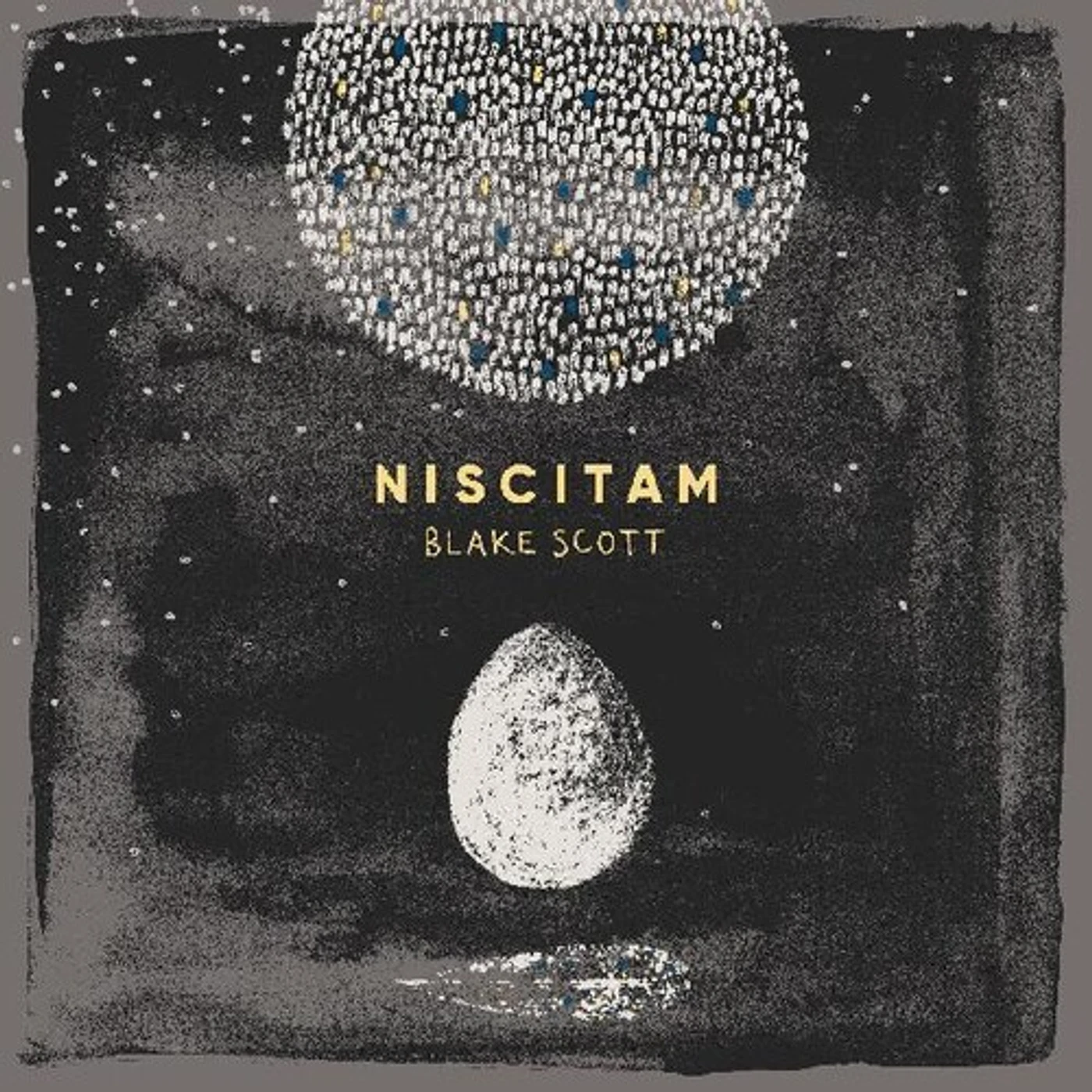Blake Scott NISCITAM Vinyl Record