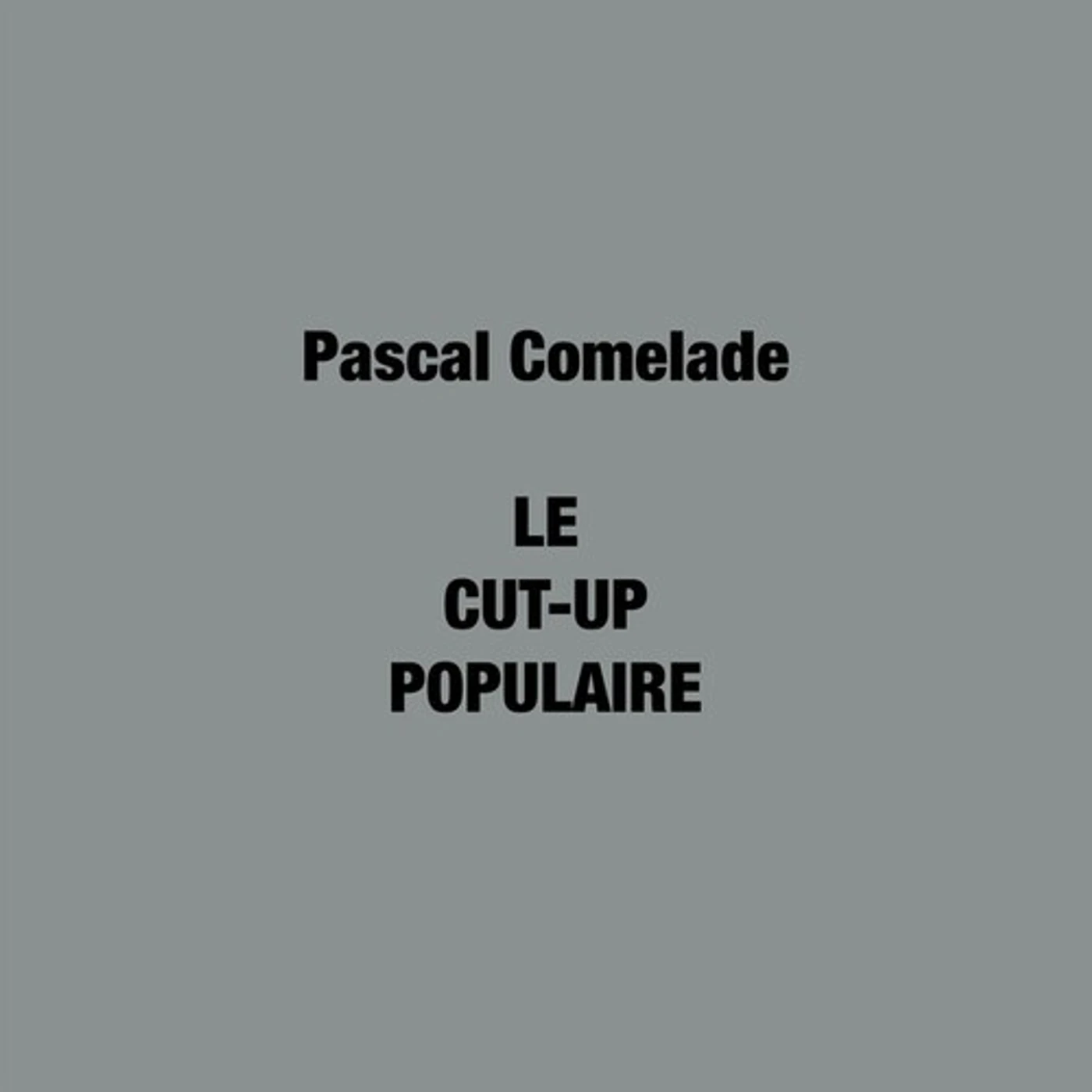 Pascal Comelade Le cut-up populaire Vinyl Record
