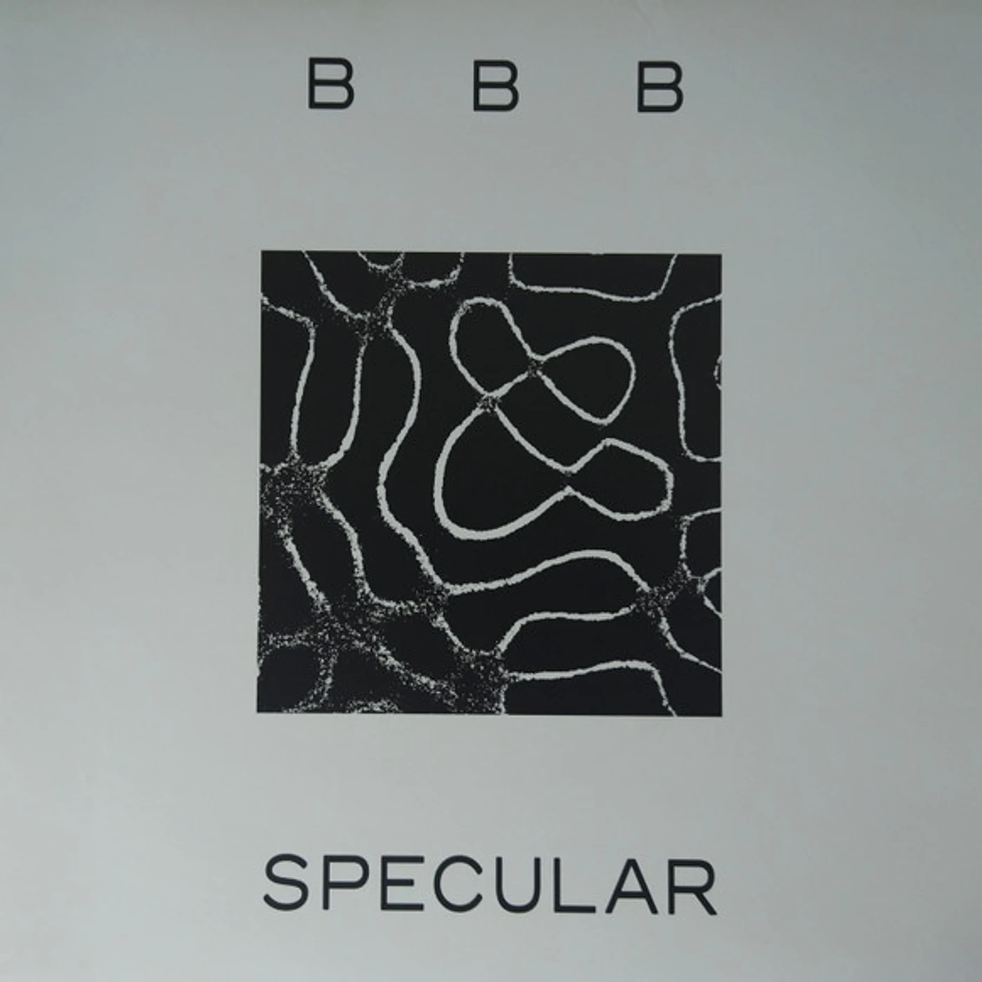 Bye Bye Bicycle SPECULAR Vinyl Record