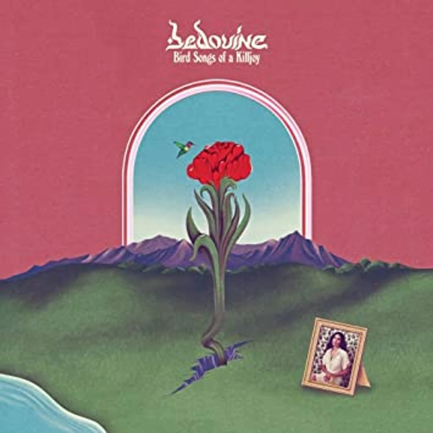 Bedouine BIRD SONGS OF A KILLJOY (LAVENDER VINYL) Vinyl Record