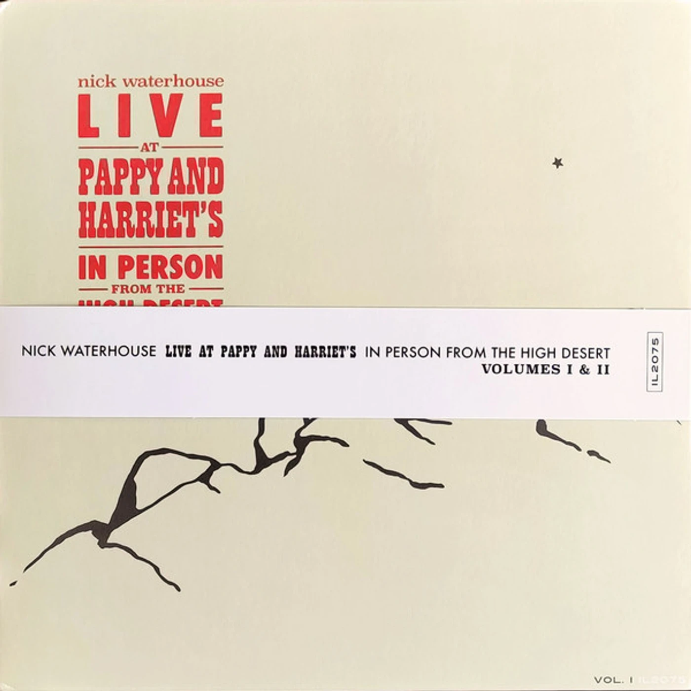 Nick Waterhouse LIVE AT PAPPY & HARRIET'S: IN PERSON FROM THE HIGH DESERT (2LP/DL CARD) Vinyl Record