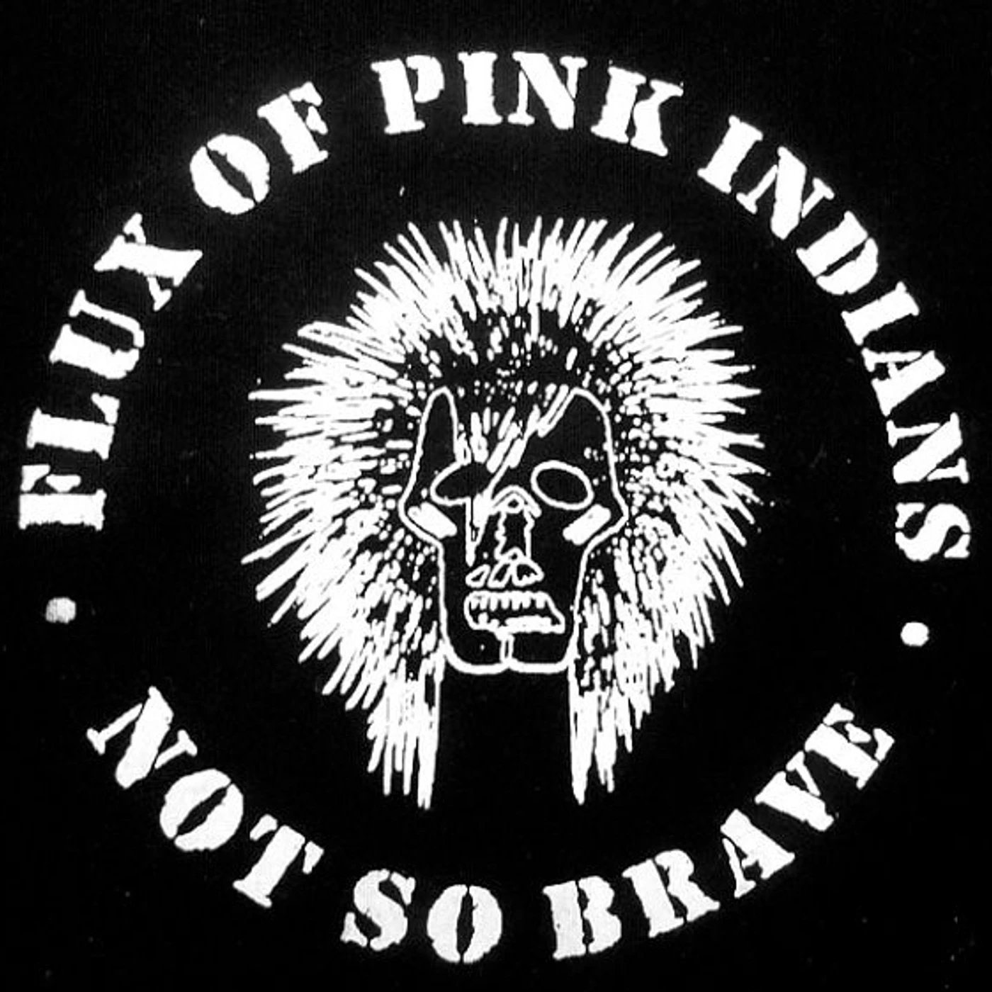 Flux of Pink Indians Not So Brave Vinyl Record
