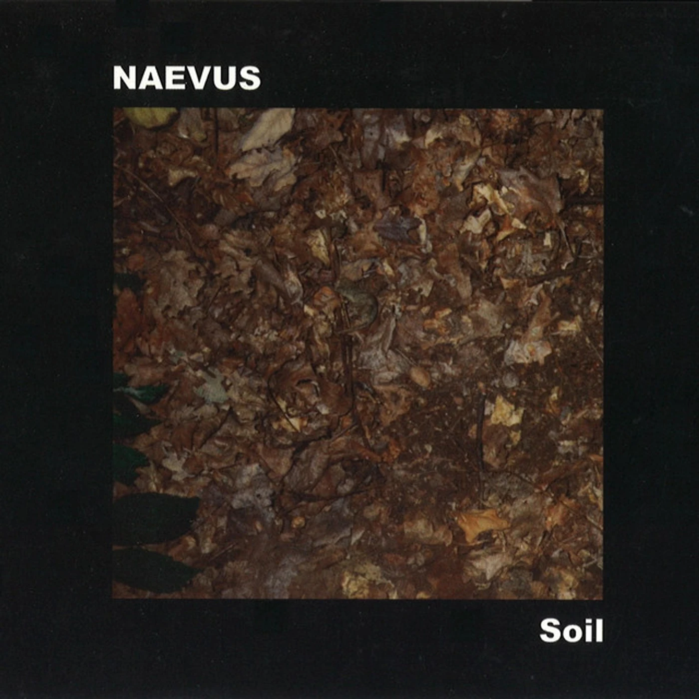 Naevus SOIL CD
