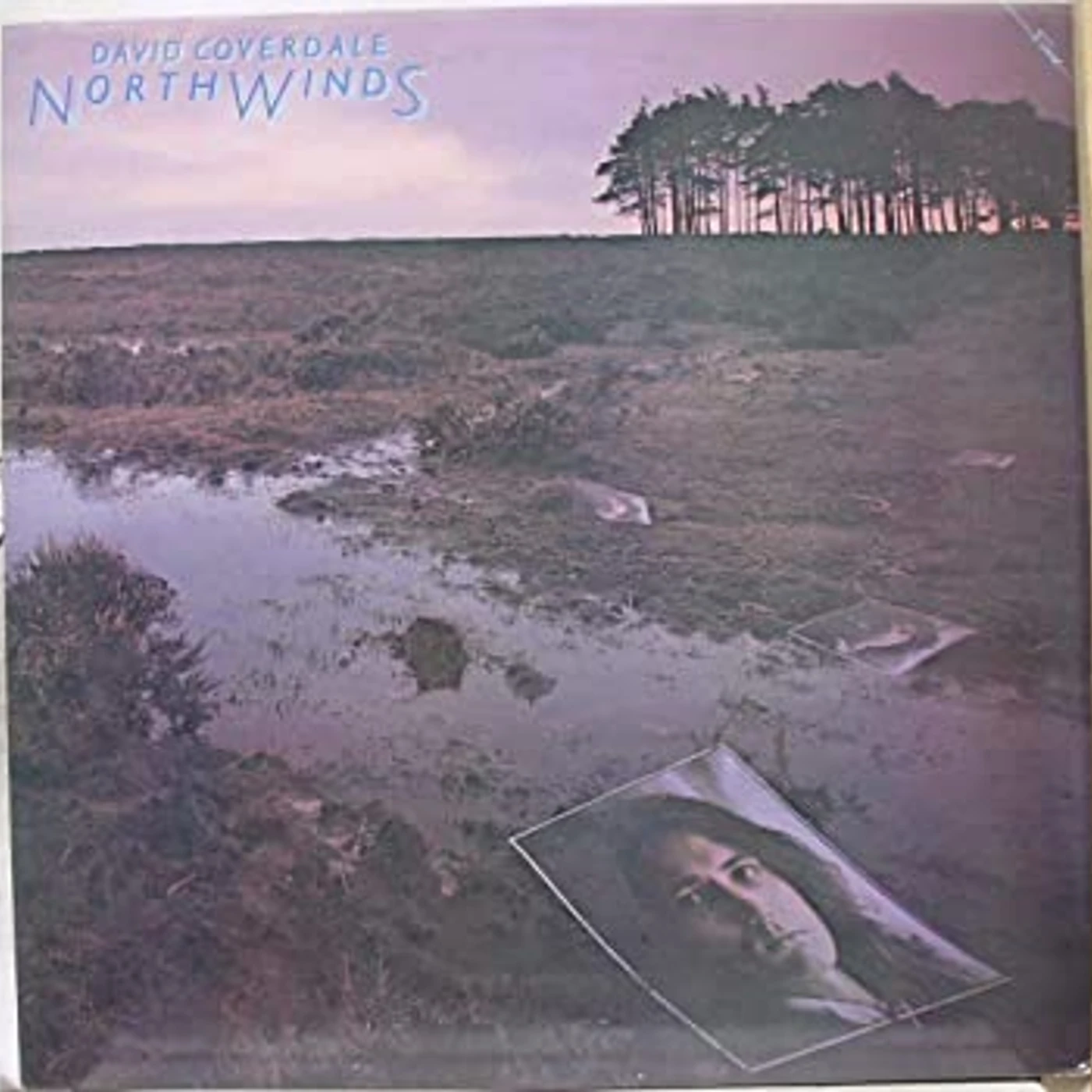 David Coverdale NORTH WINDS Vinyl Record