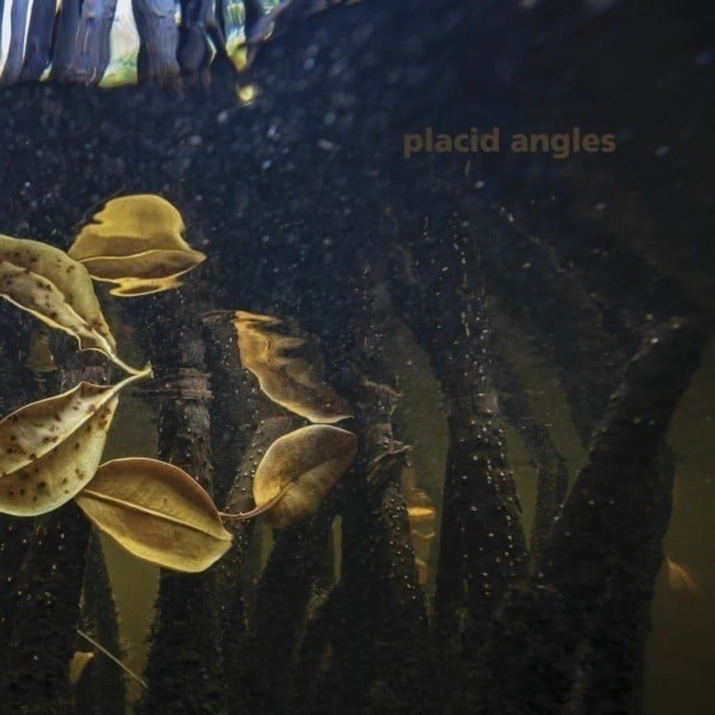 Placid Angles Touch The Earth Vinyl Record