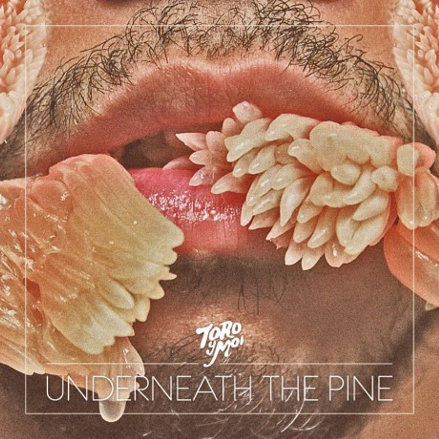 Toro y Moi Underneath The Pine Vinyl Record