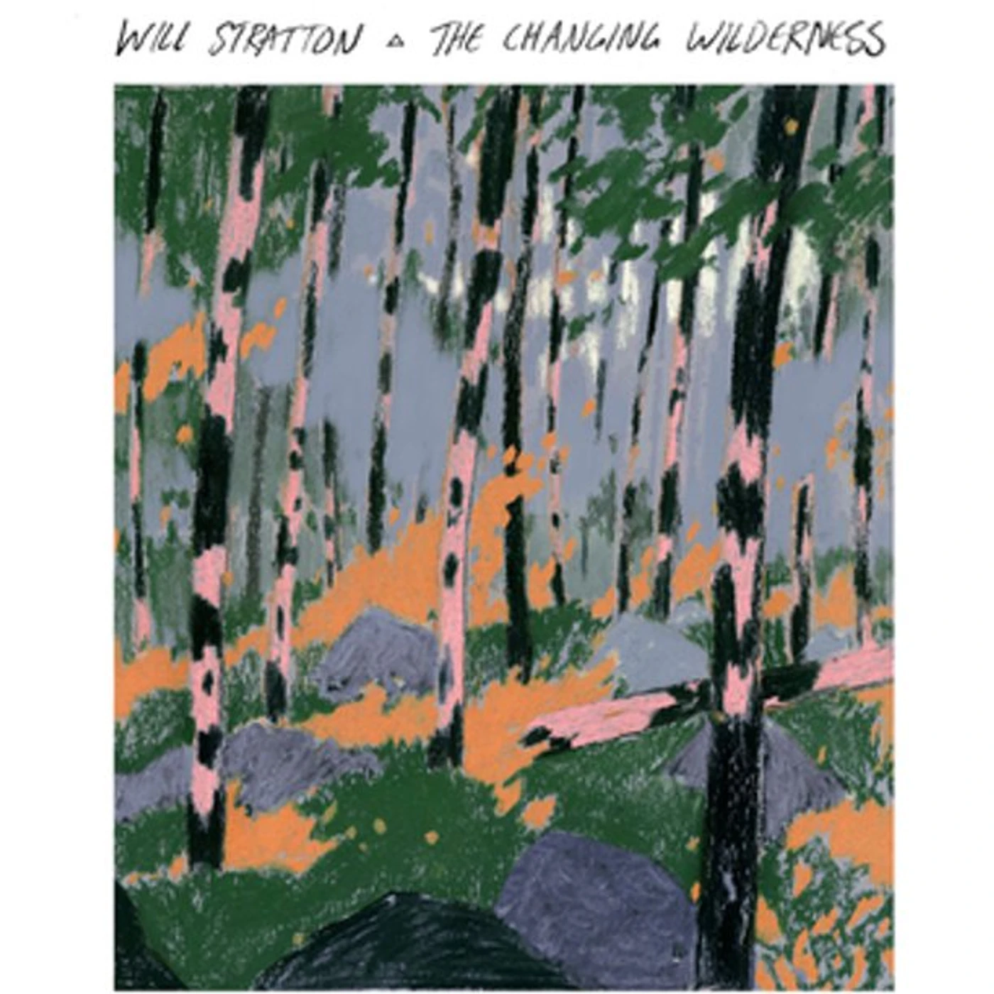 Will Stratton CHANGING WILDERNESS Vinyl Record