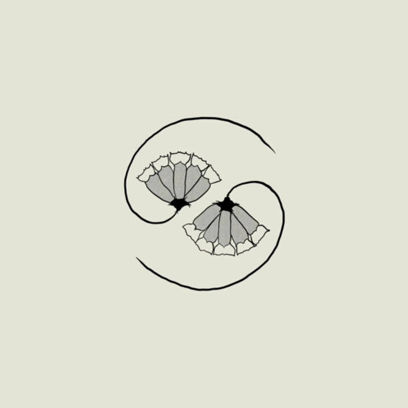 Godspeed You! Black Emperor G_D'S PEE AT STATE'S END (INCL. 10) Vinyl Record