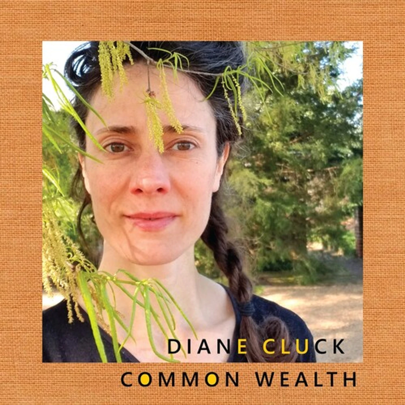 Diane Cluck COMMON WEALTH CD