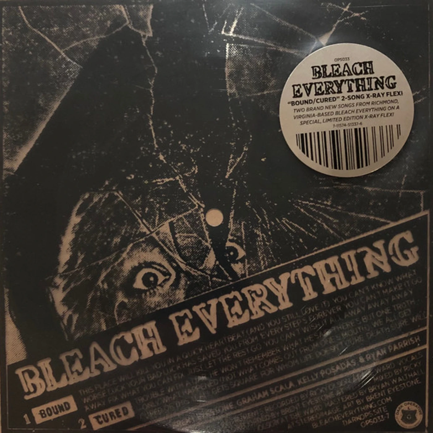 Bleach Everything Bound / Cured Vinyl Record