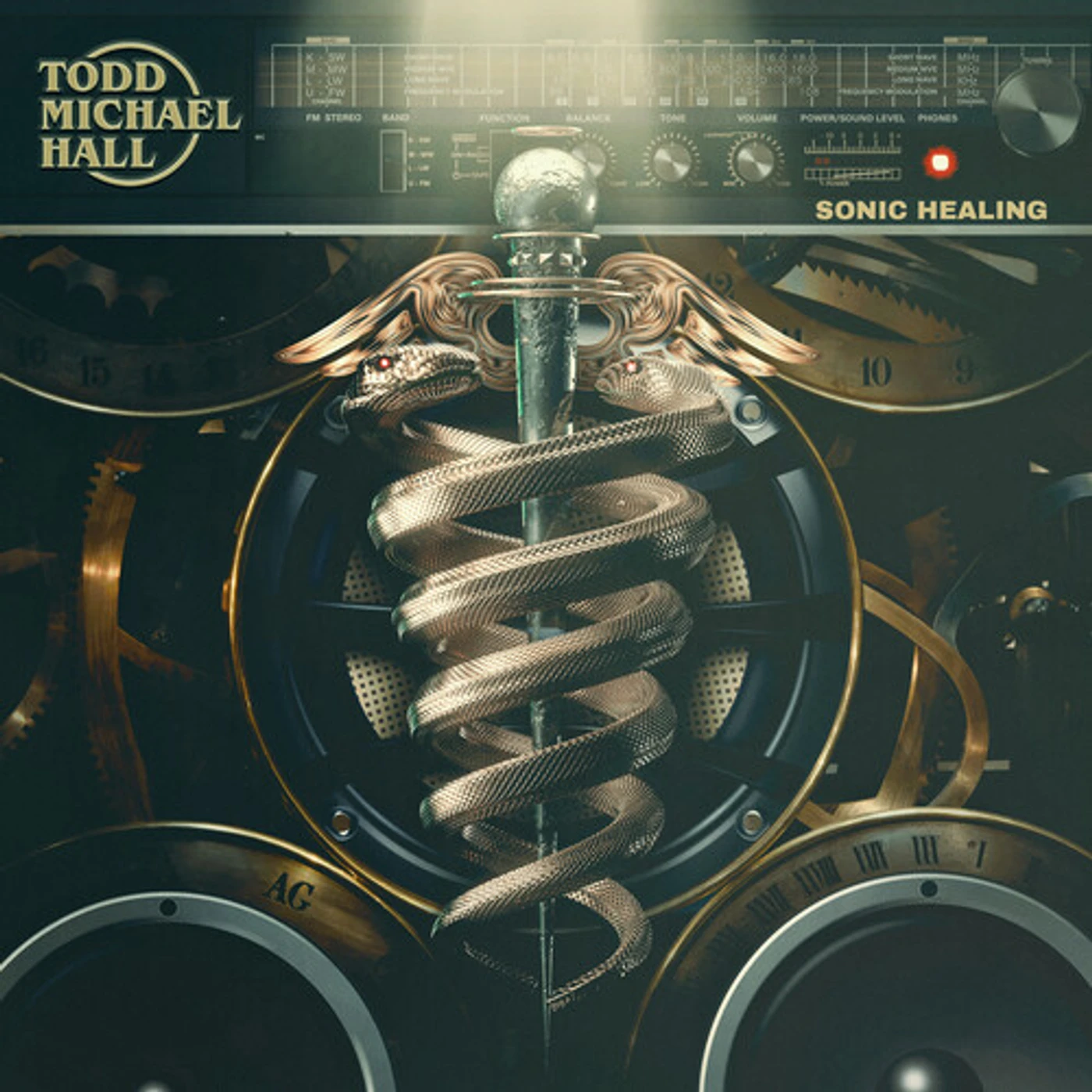 Todd Michael Hall Sonic Healing Vinyl Record