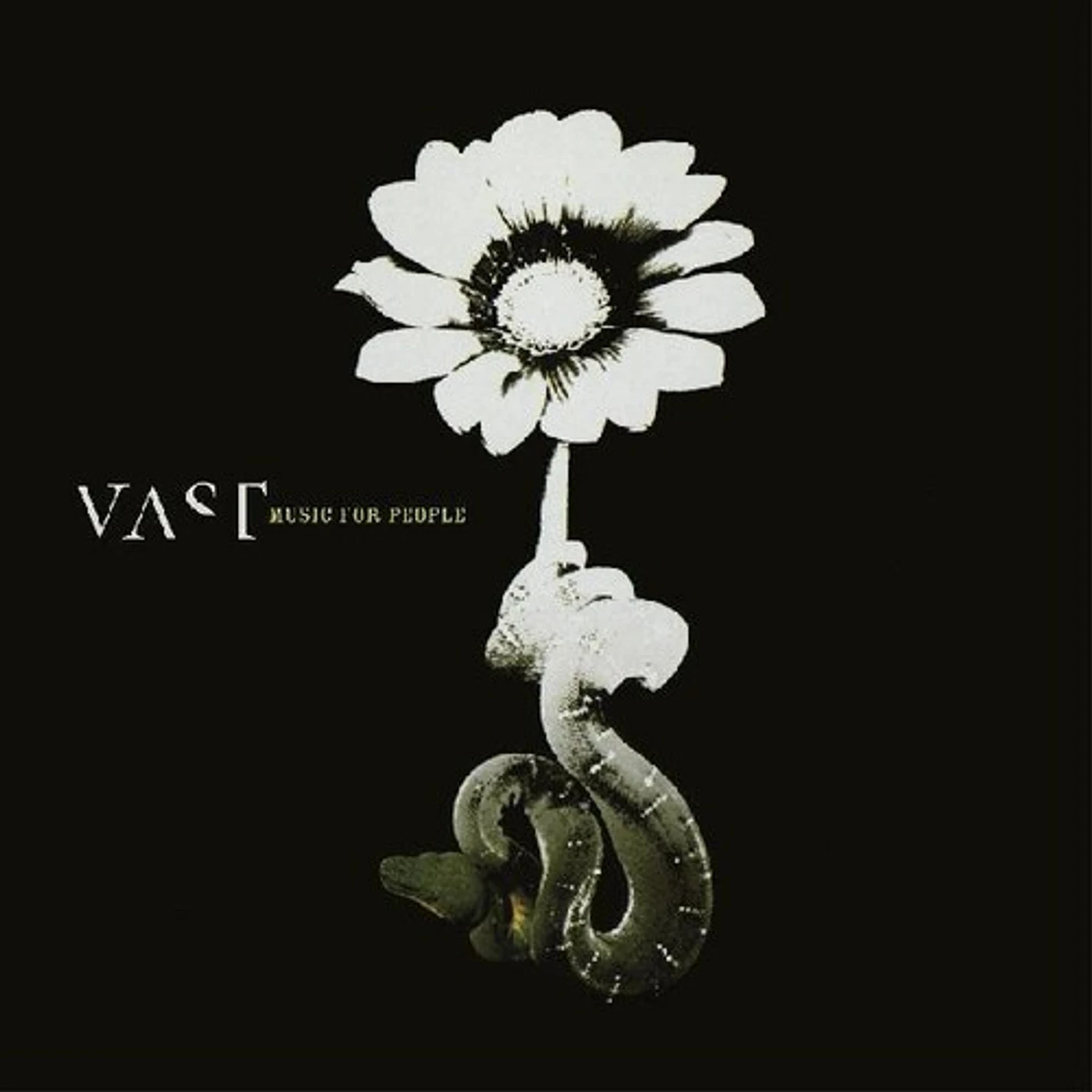 Vast Music for People Vinyl Record