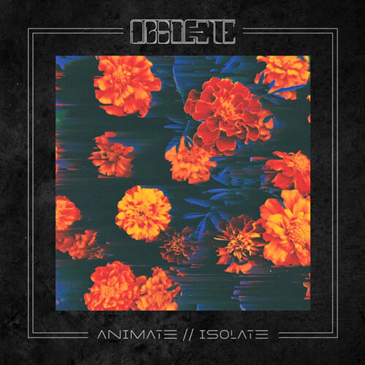 Obsolete ANIMATE // ISOLATE CD