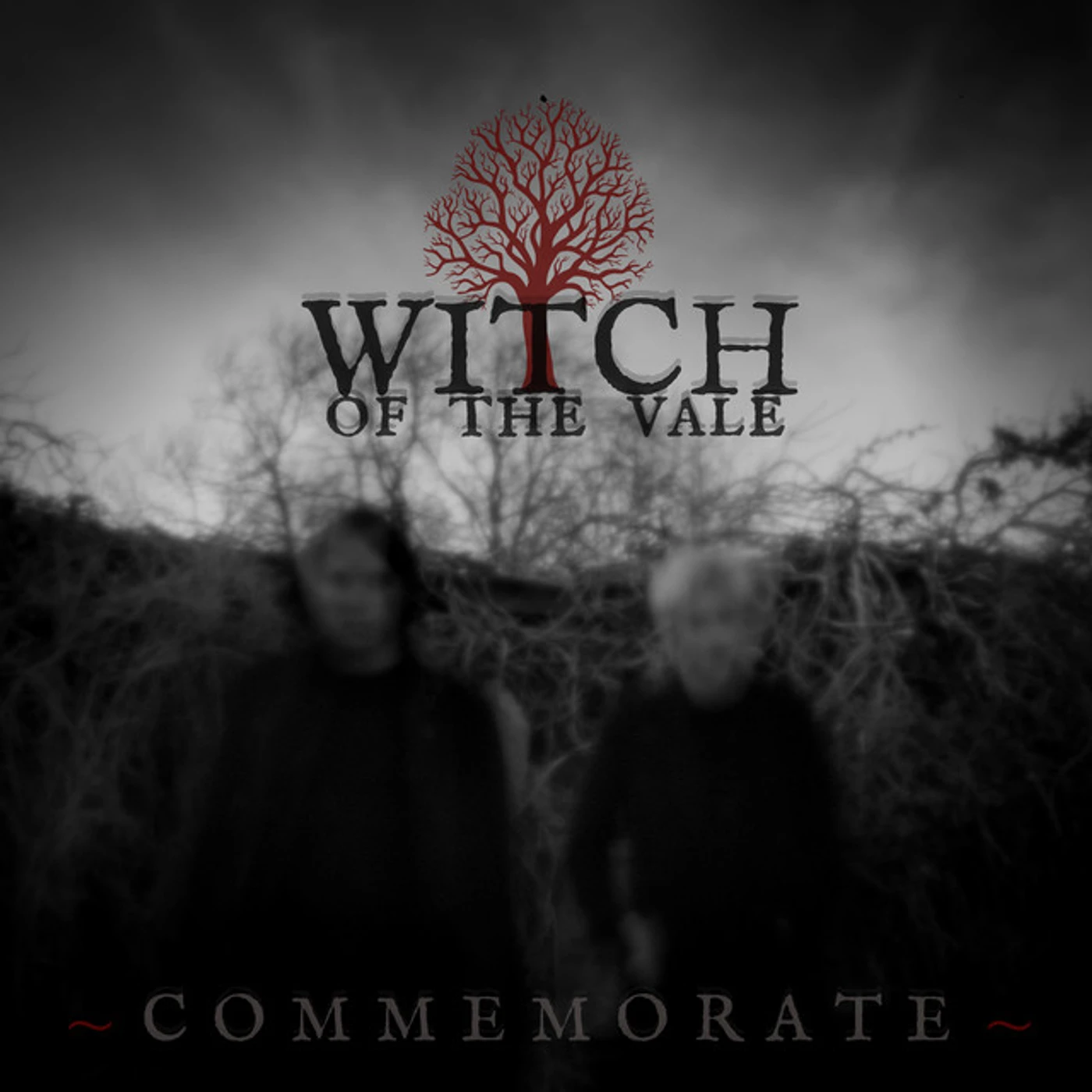 Witch of the Vale Commemorate Vinyl Record