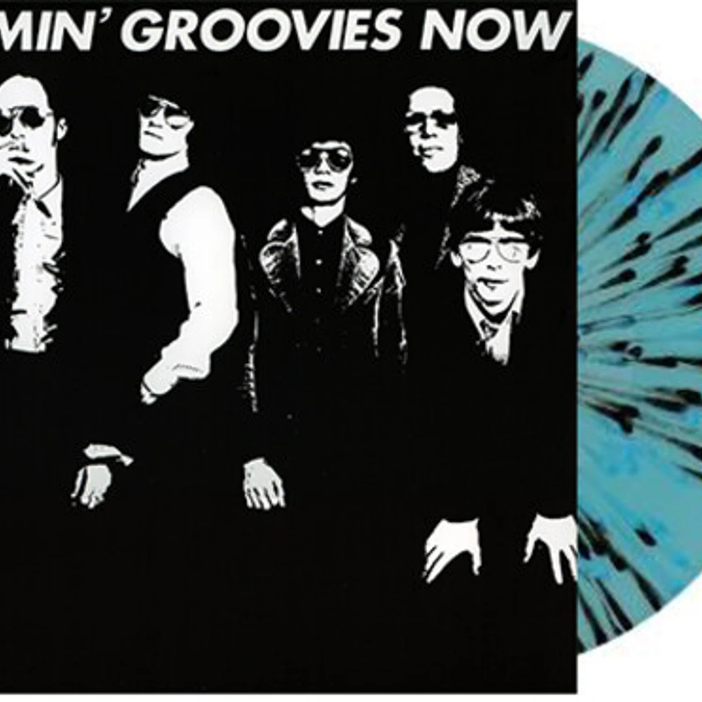 Flamin' Groovies Now Vinyl Record