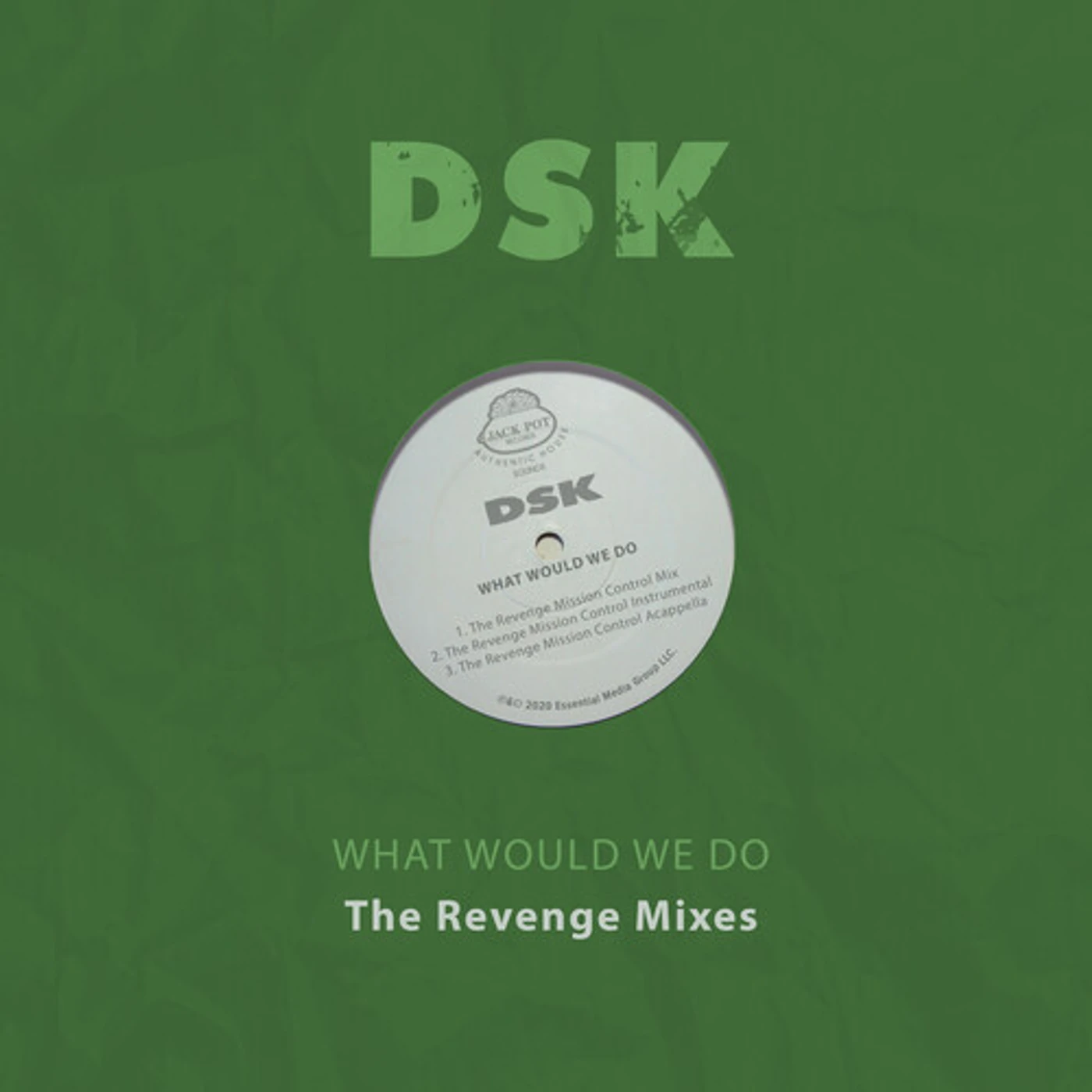 DSK WHAT WOULD WE DO - THE REVENGE MIXES CD