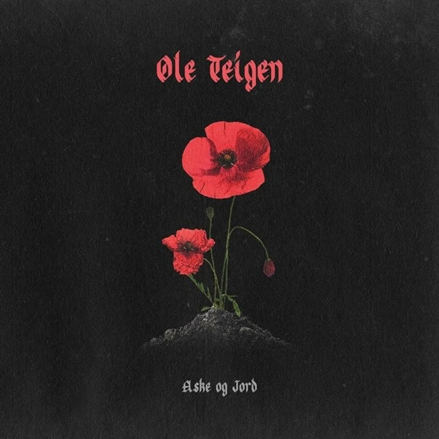 Ole Teigen Aske og Jord Vinyl Record
