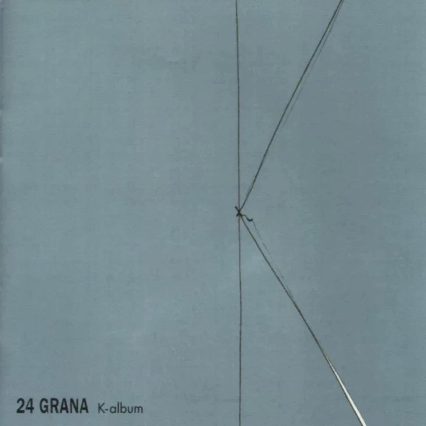 24 Grana KALBUM Vinyl Record