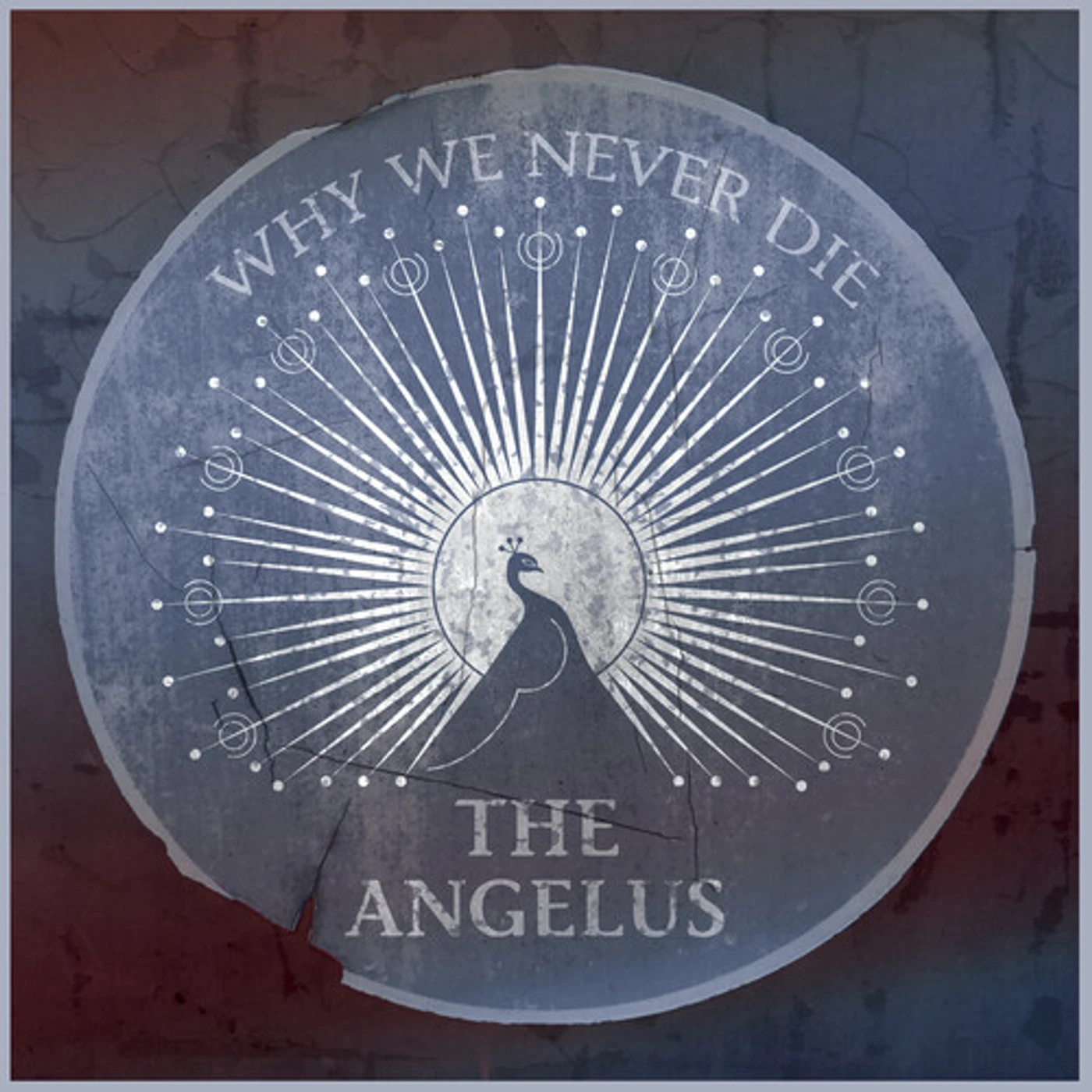 Angelus WHY WE NEVER DIE CD