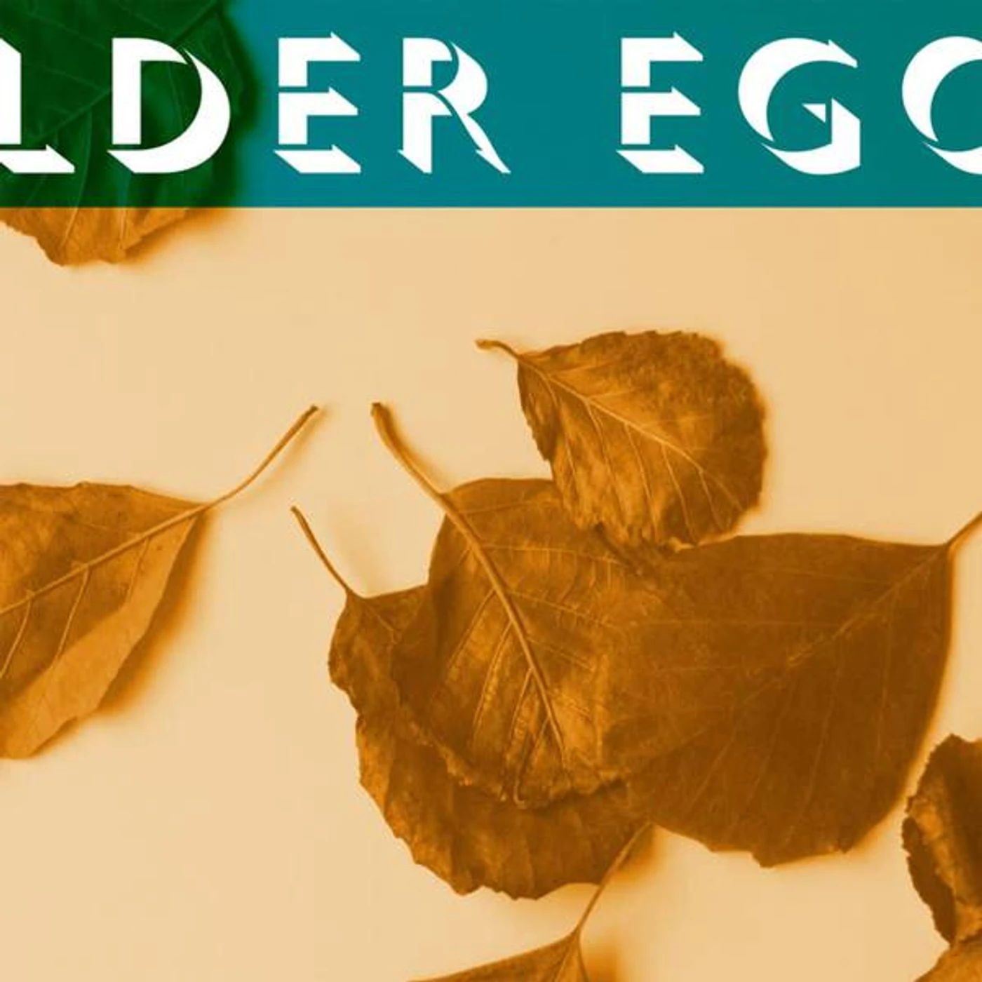 Alder Ego III + II Vinyl Record