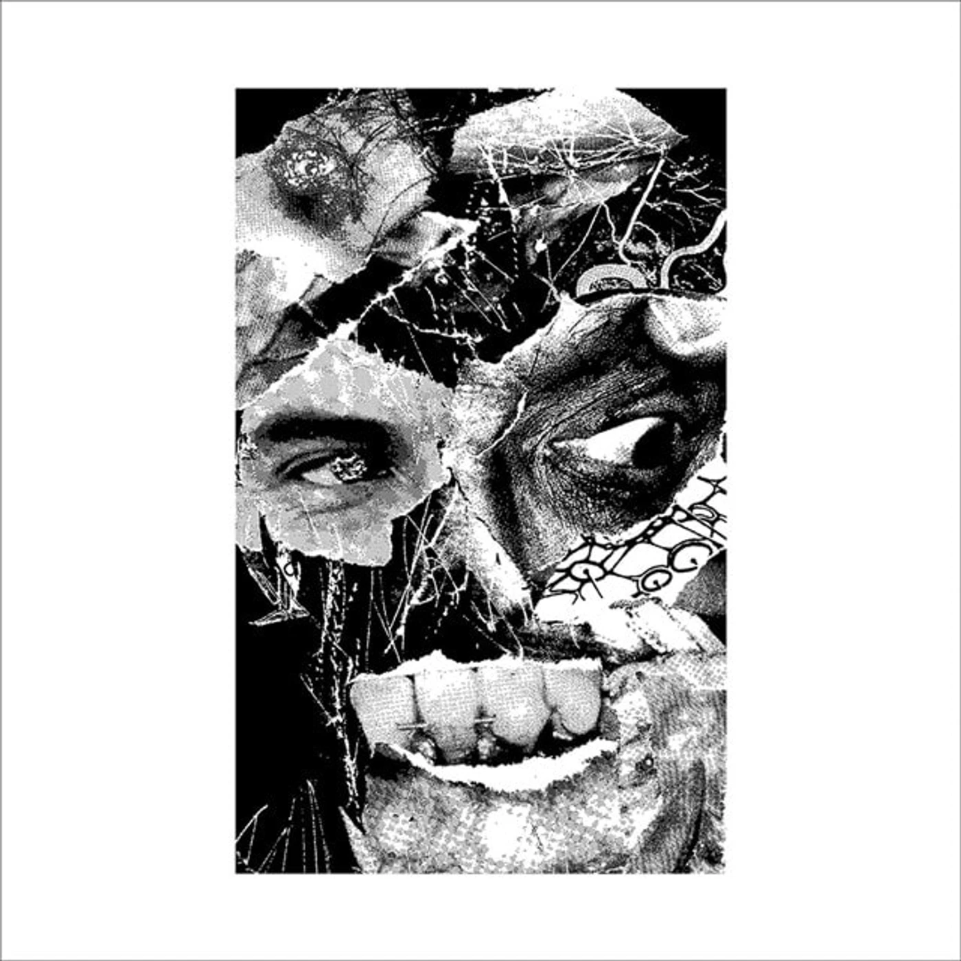 8 Hour Animal Resigner Vinyl Record