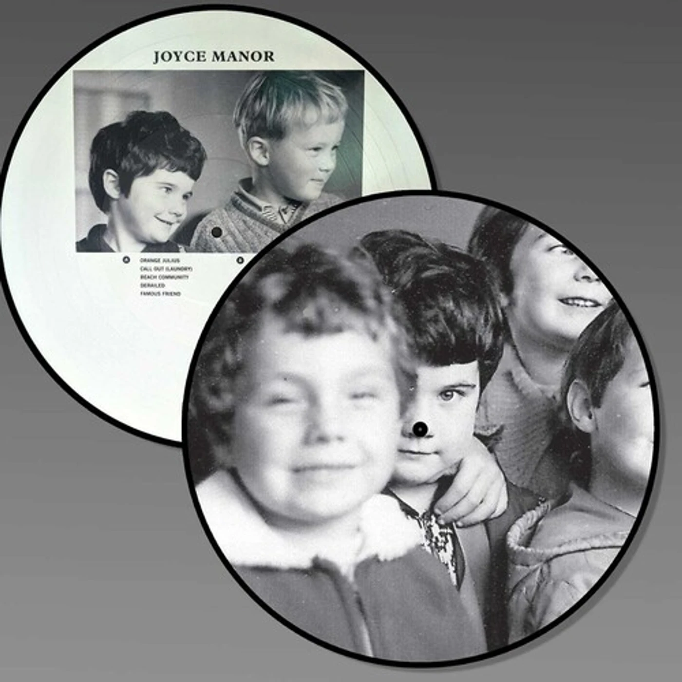 Joyce Manor Vinyl Record