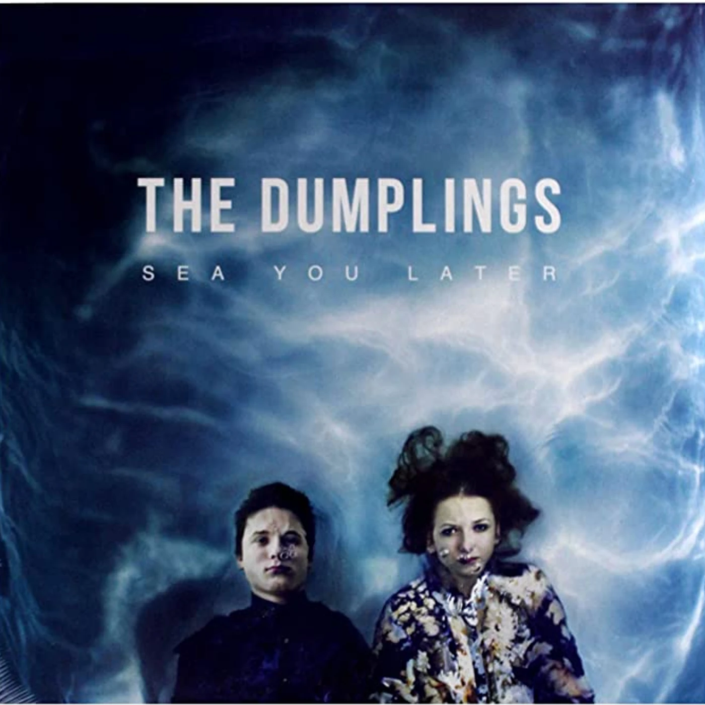 The Dumplings Sea You Later Vinyl Record