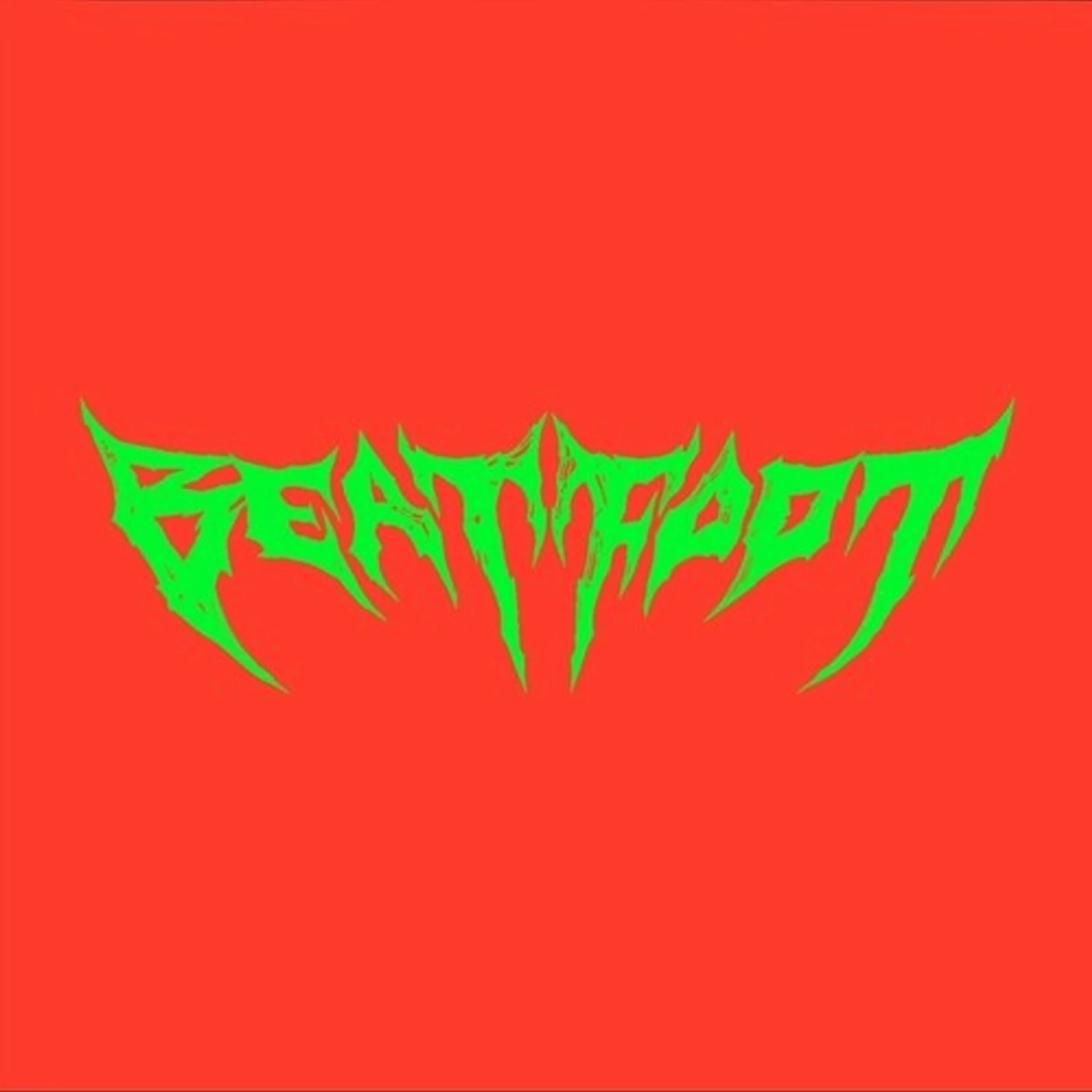 BEATFOOT Vinyl Record
