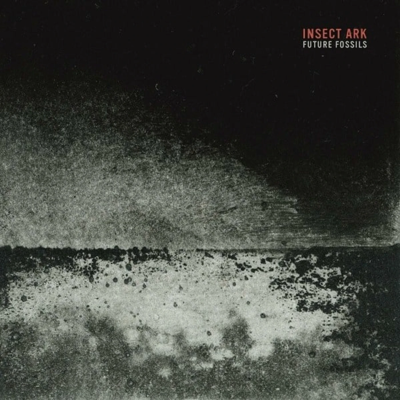 Insect Ark Future Fossils Vinyl Record