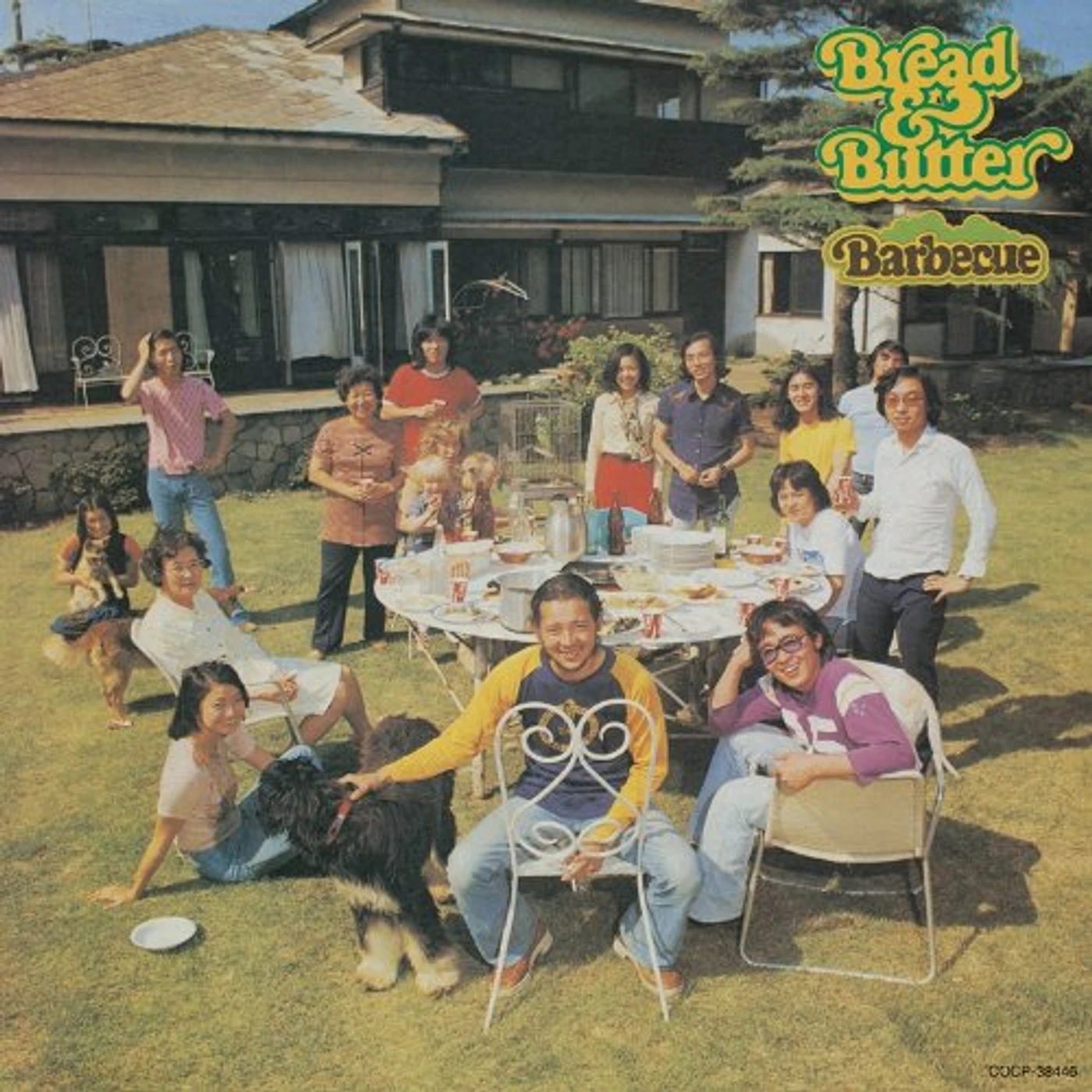 Bread & Butter Barbecue Vinyl Record
