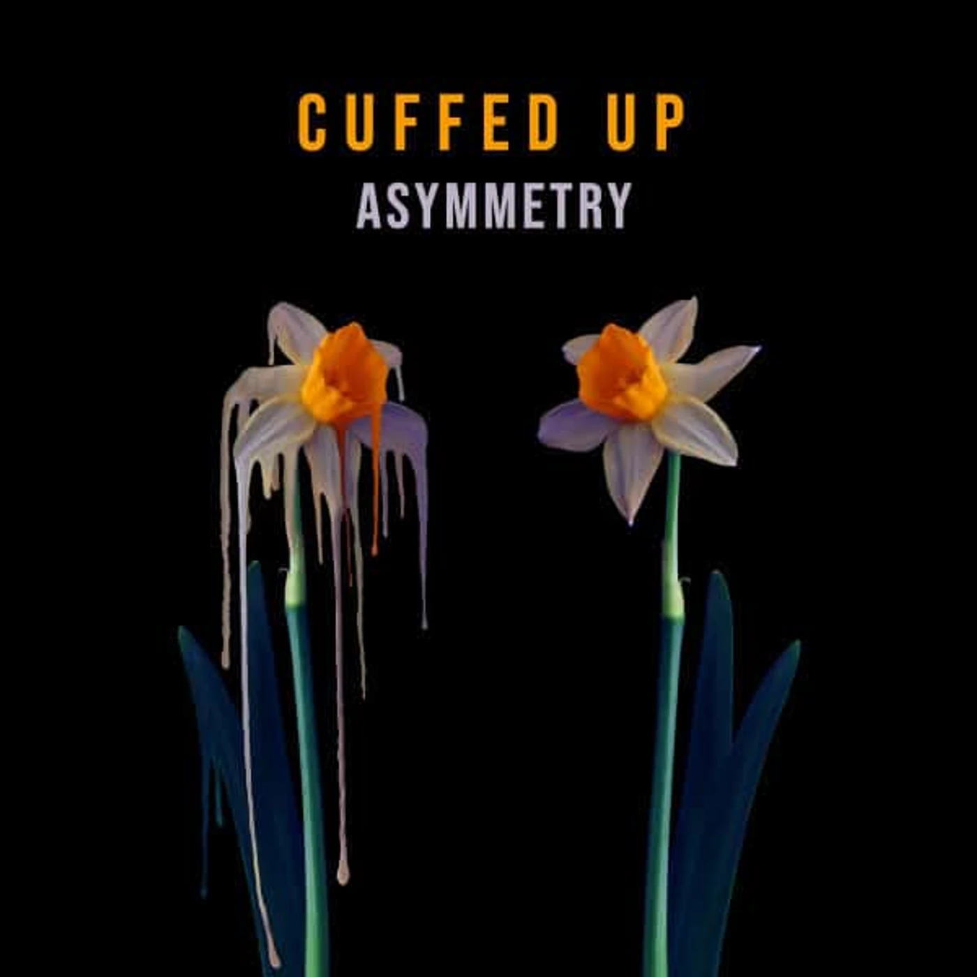 Cuffed Up Asymmetry Vinyl Record