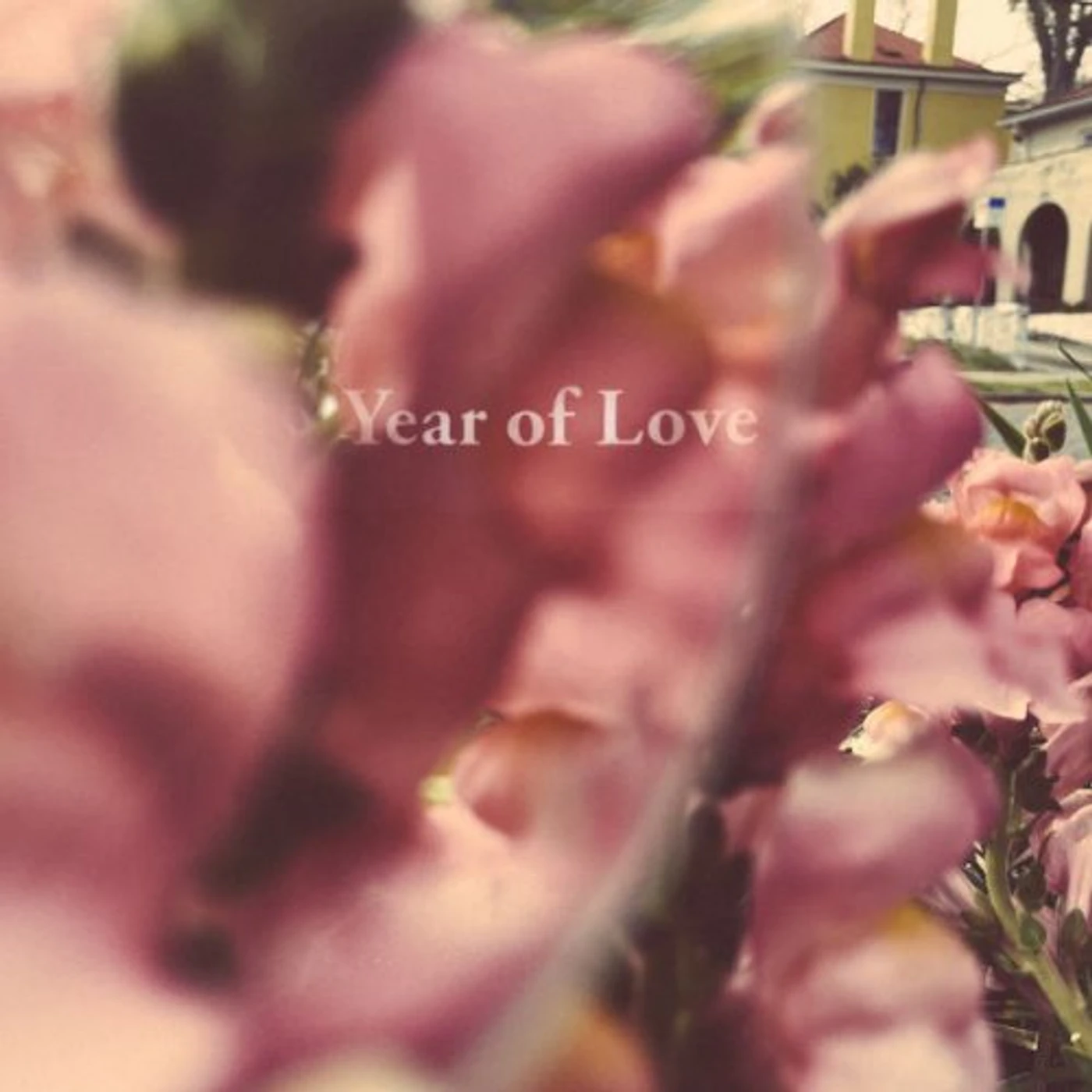 Beta Radio Year of Love Vinyl Record