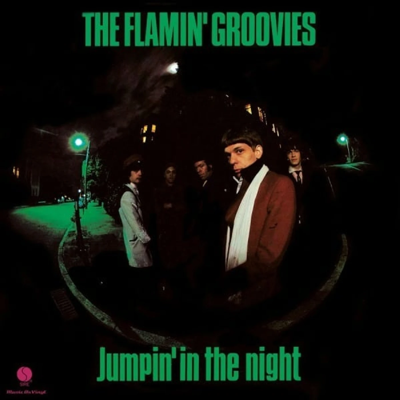Flamin' Groovies JUMPIN' IN THE NIGHT (180G) Vinyl Record