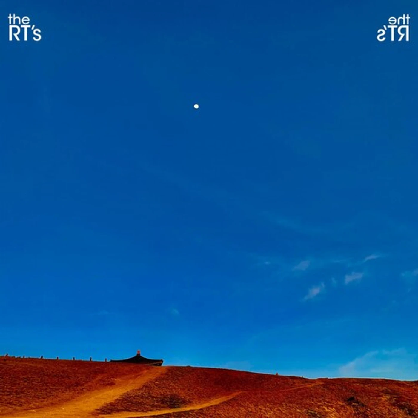 The RT's Vinyl Record
