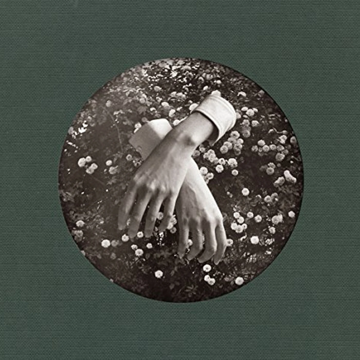 aspidistrafly A LITTLE FABLE Vinyl Record