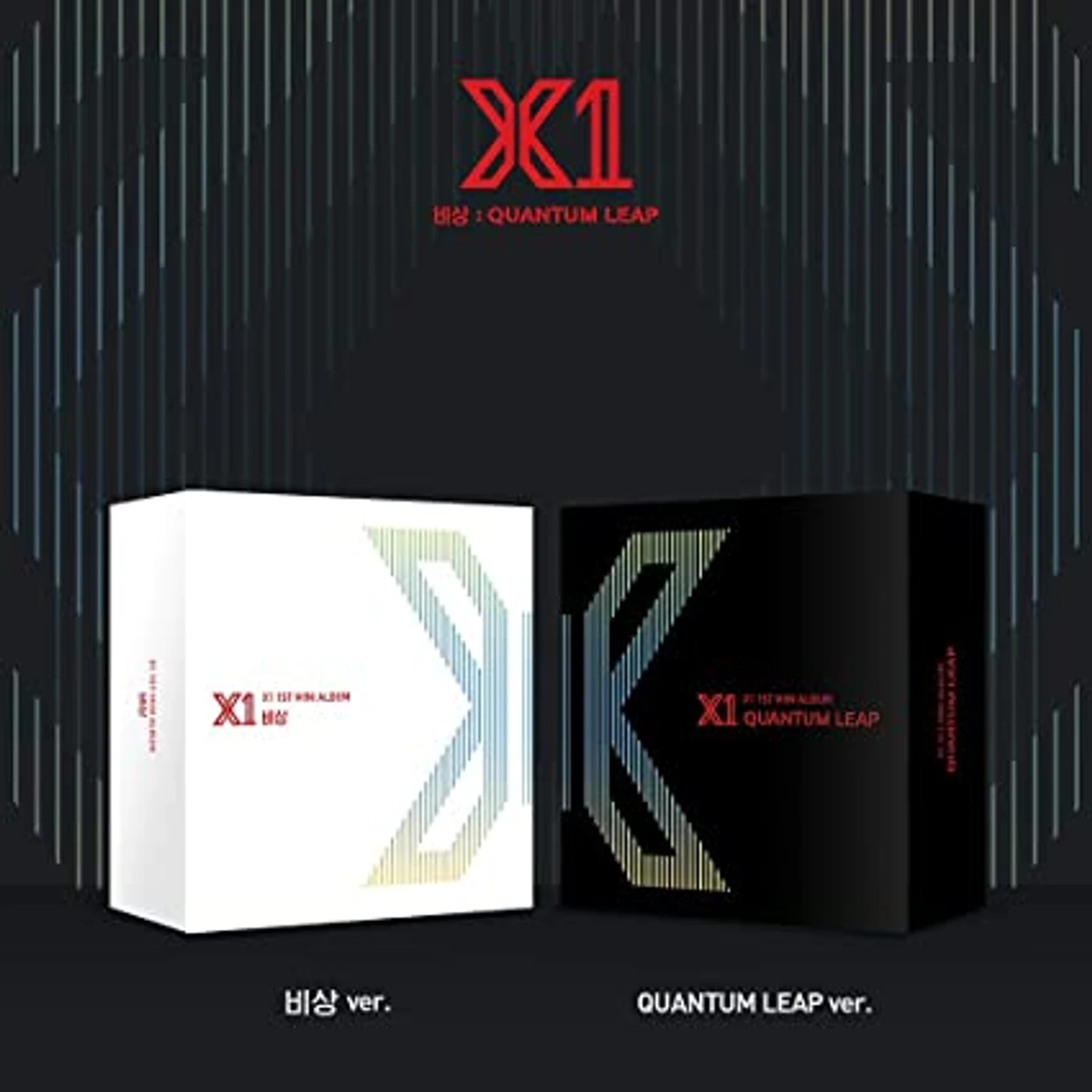 X1 QUANTUM LEAP Vinyl Record